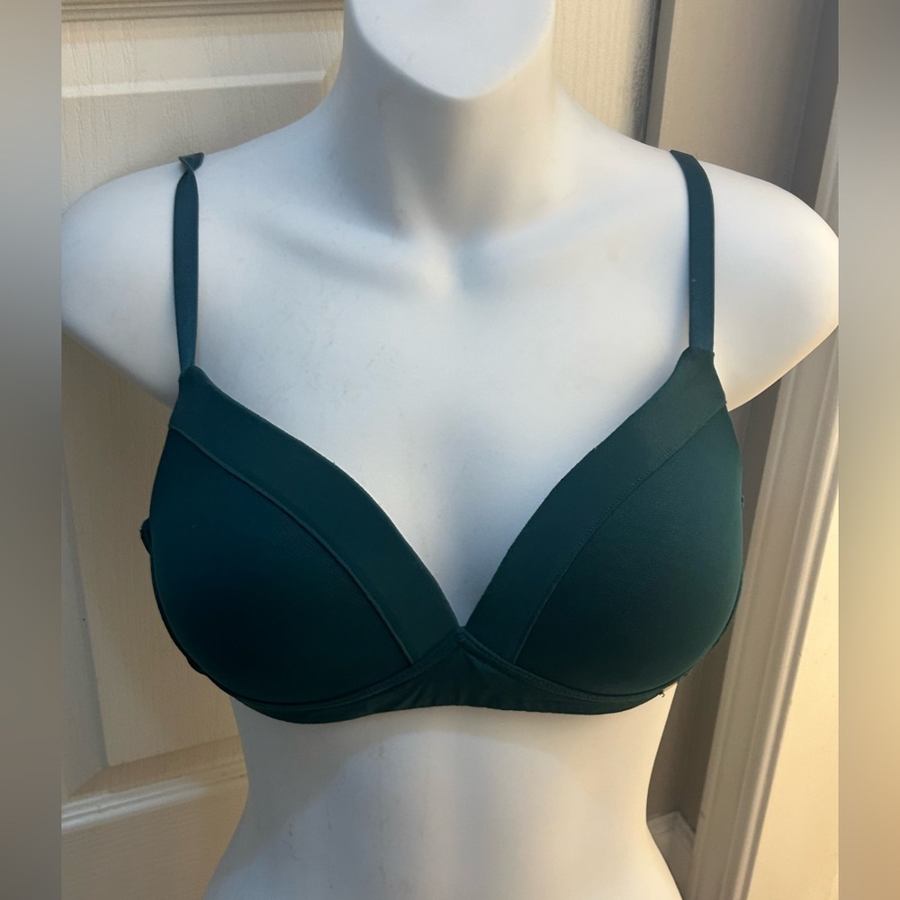 La Vie En Rose Green Women's Bra 34B